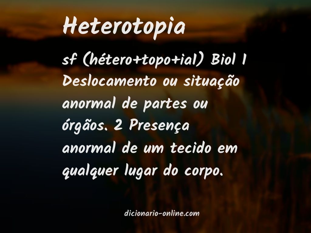 Significado de heterotopia