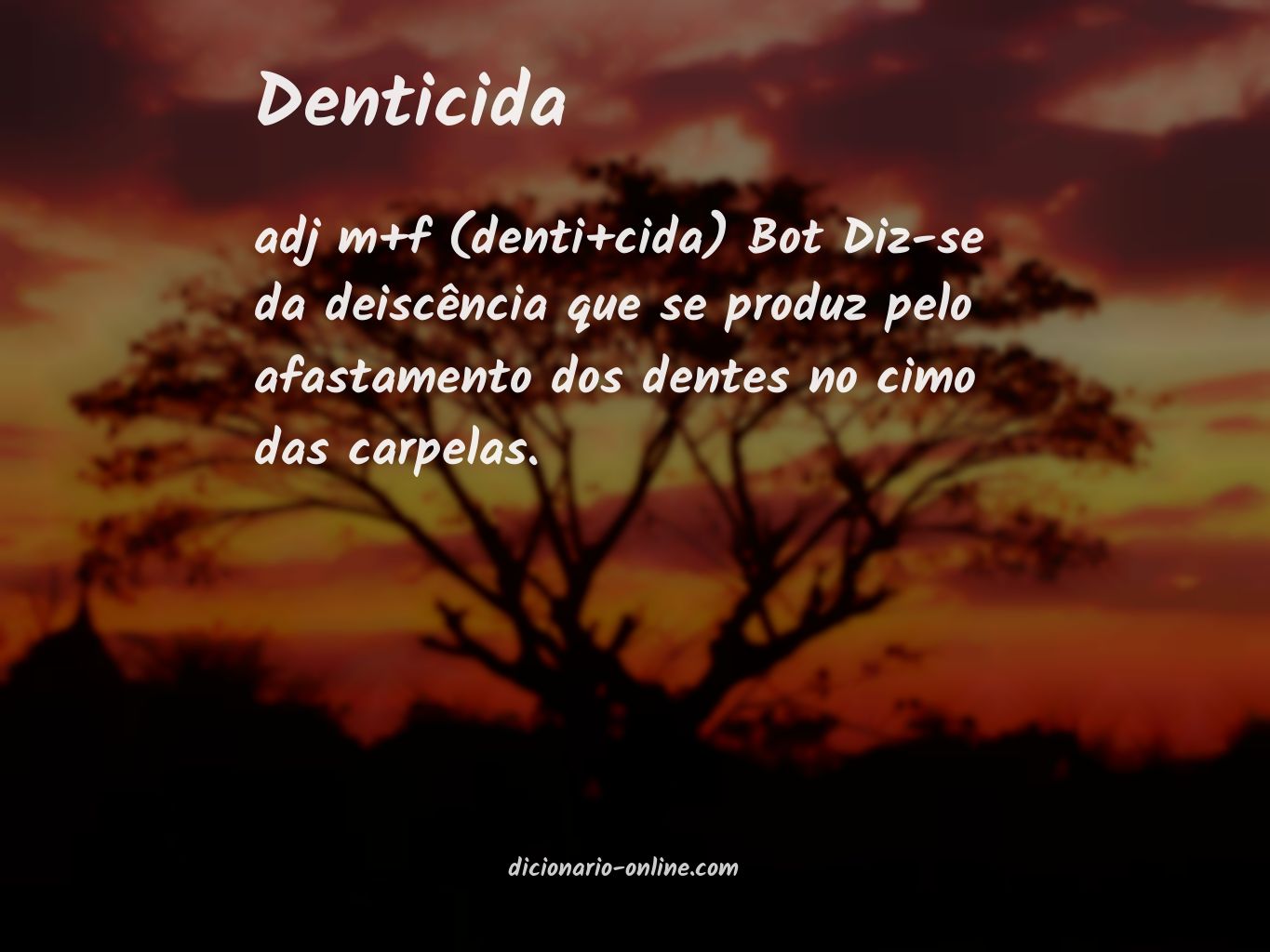 Significado de denticida