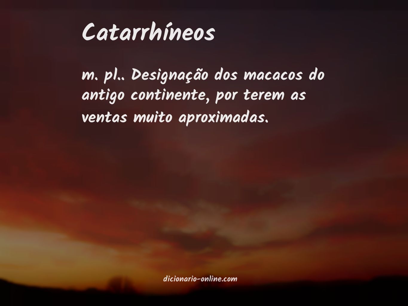 Significado de catarrhíneos