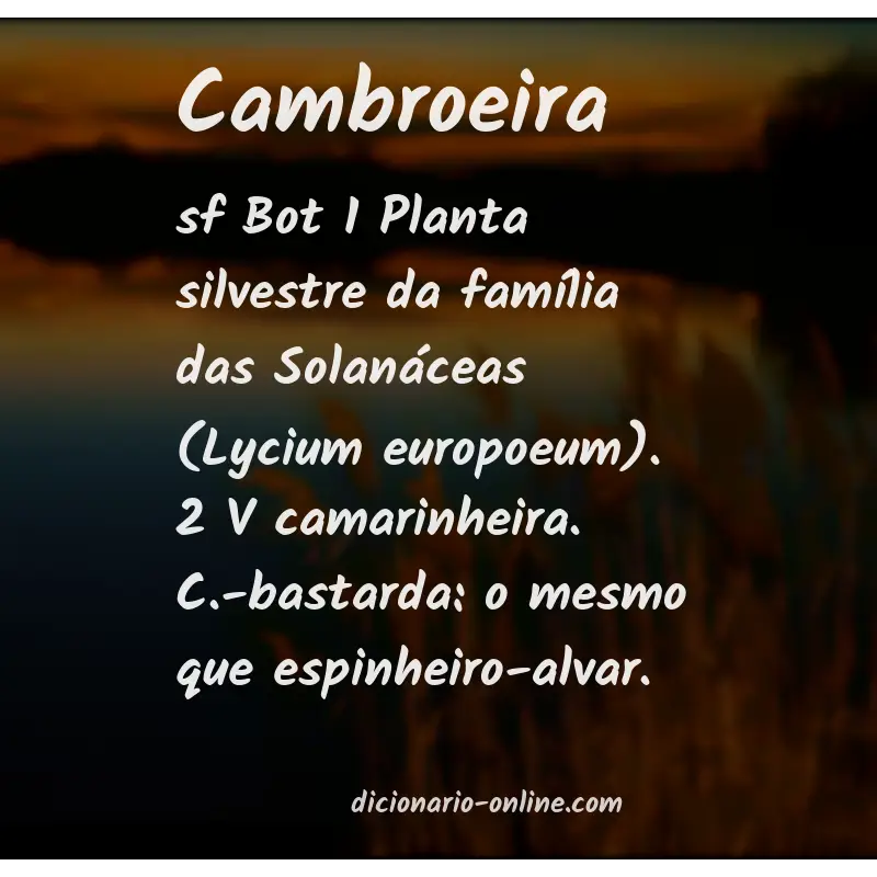 Significado de cambroeira
