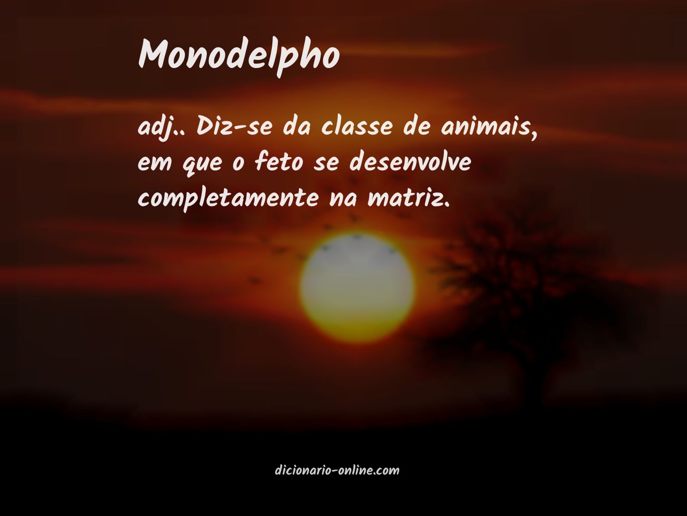 Significado de monodelpho