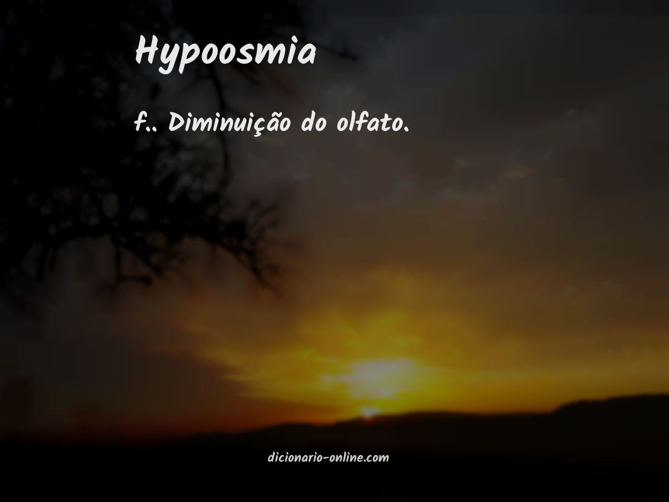 Significado de hypoosmia