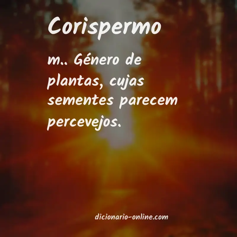 Significado de corispermo