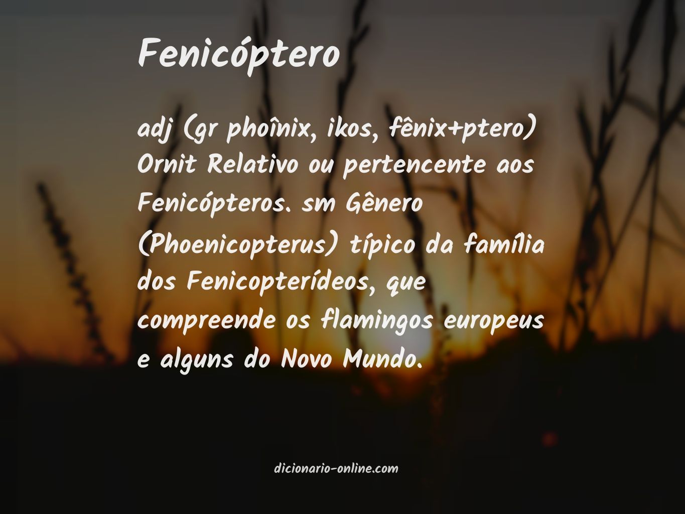 Significado de fenicóptero