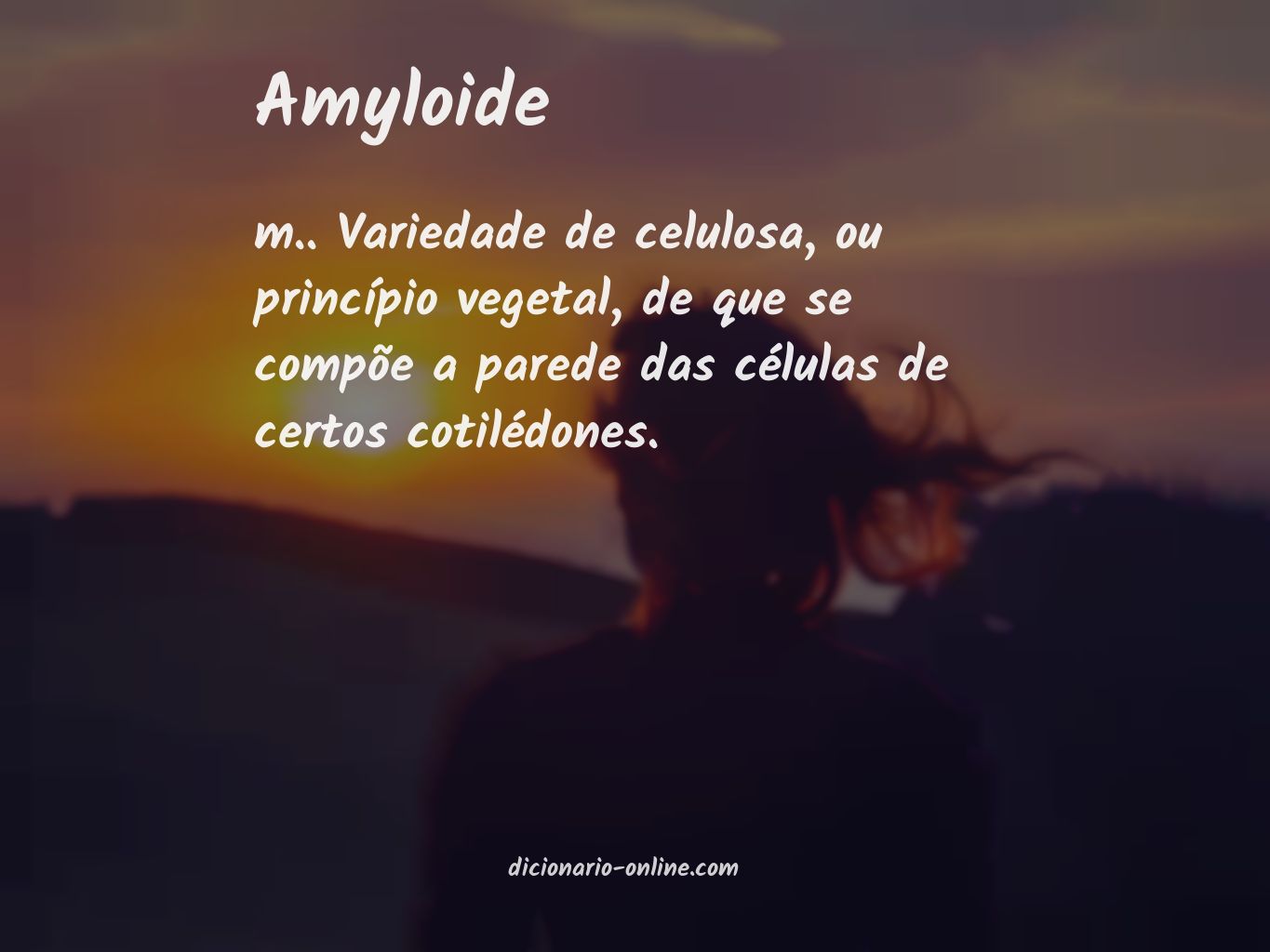 Significado de amyloide