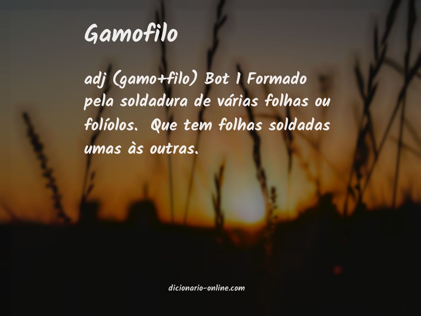 Significado de gamofilo