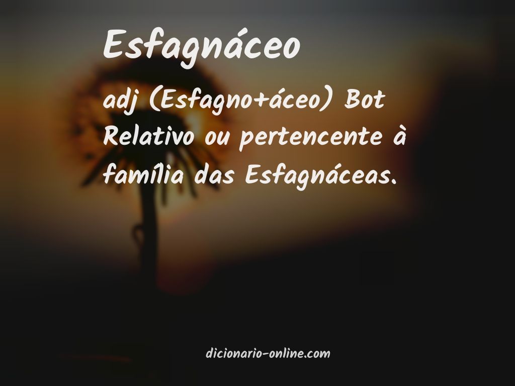 Significado de esfagnáceo