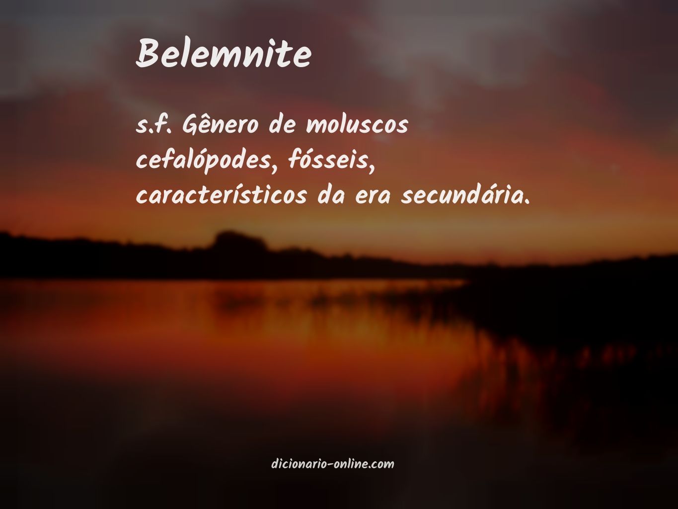 Significado de belemnite