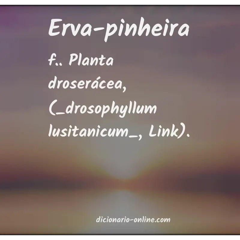 Significado de erva-pinheira
