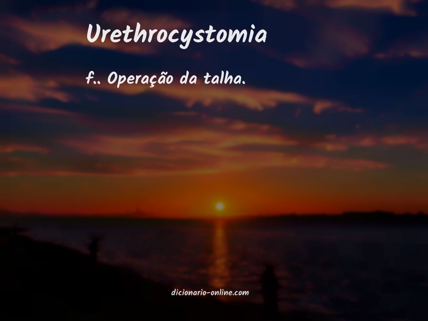 Significado de urethrocystomia