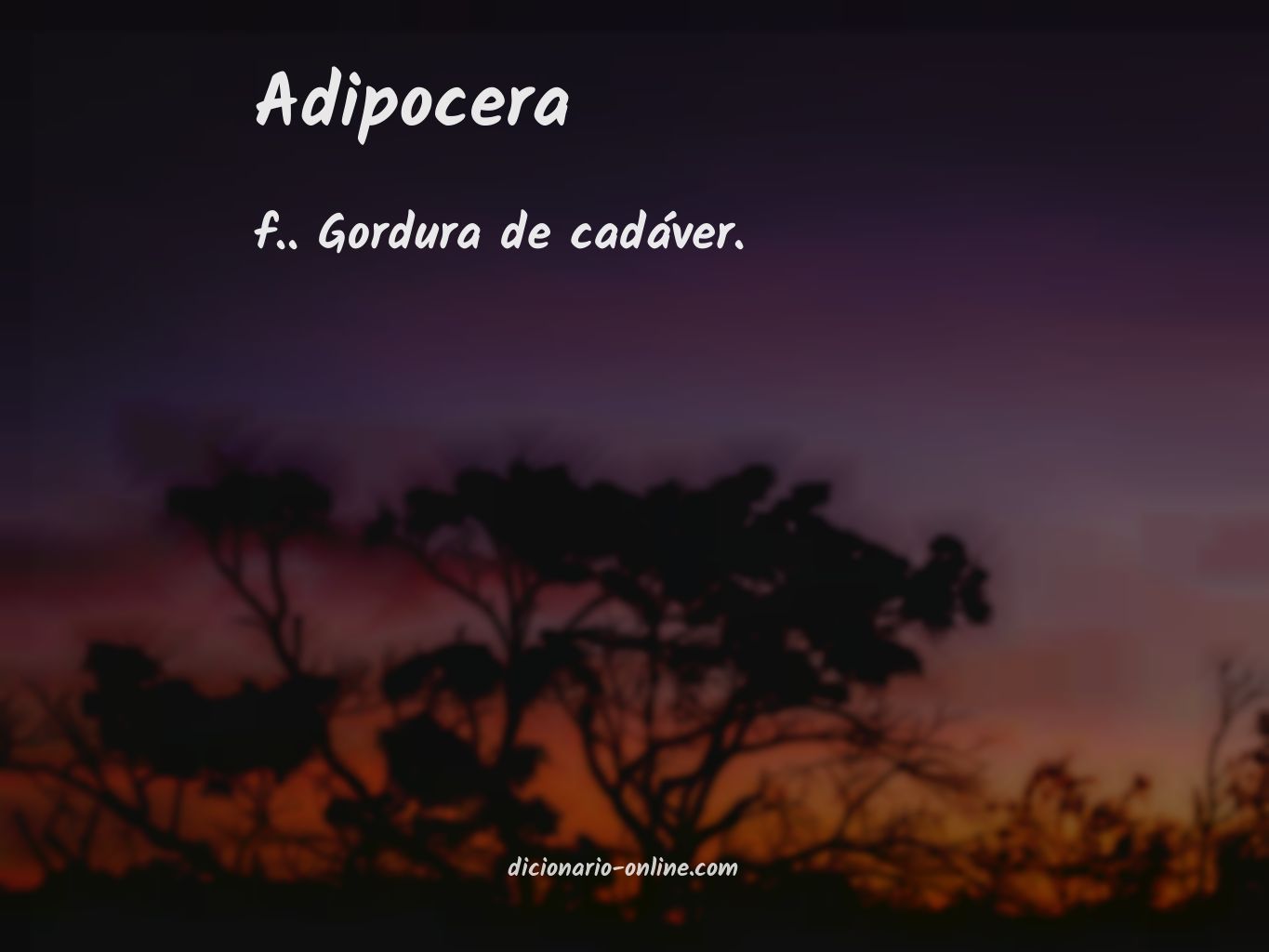 Significado de adipocera