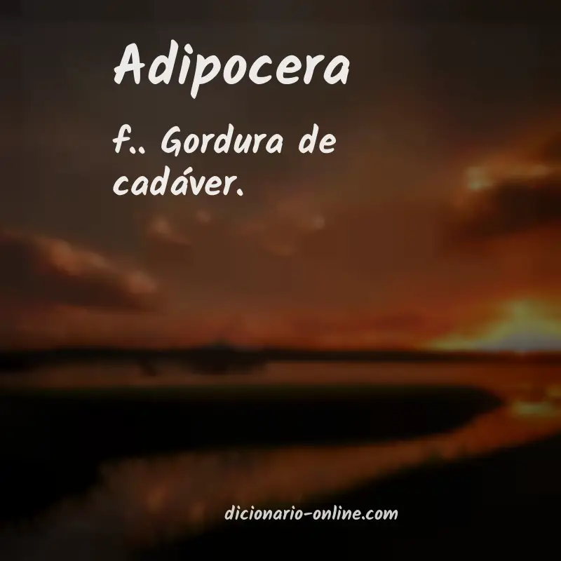 Significado de adipocera