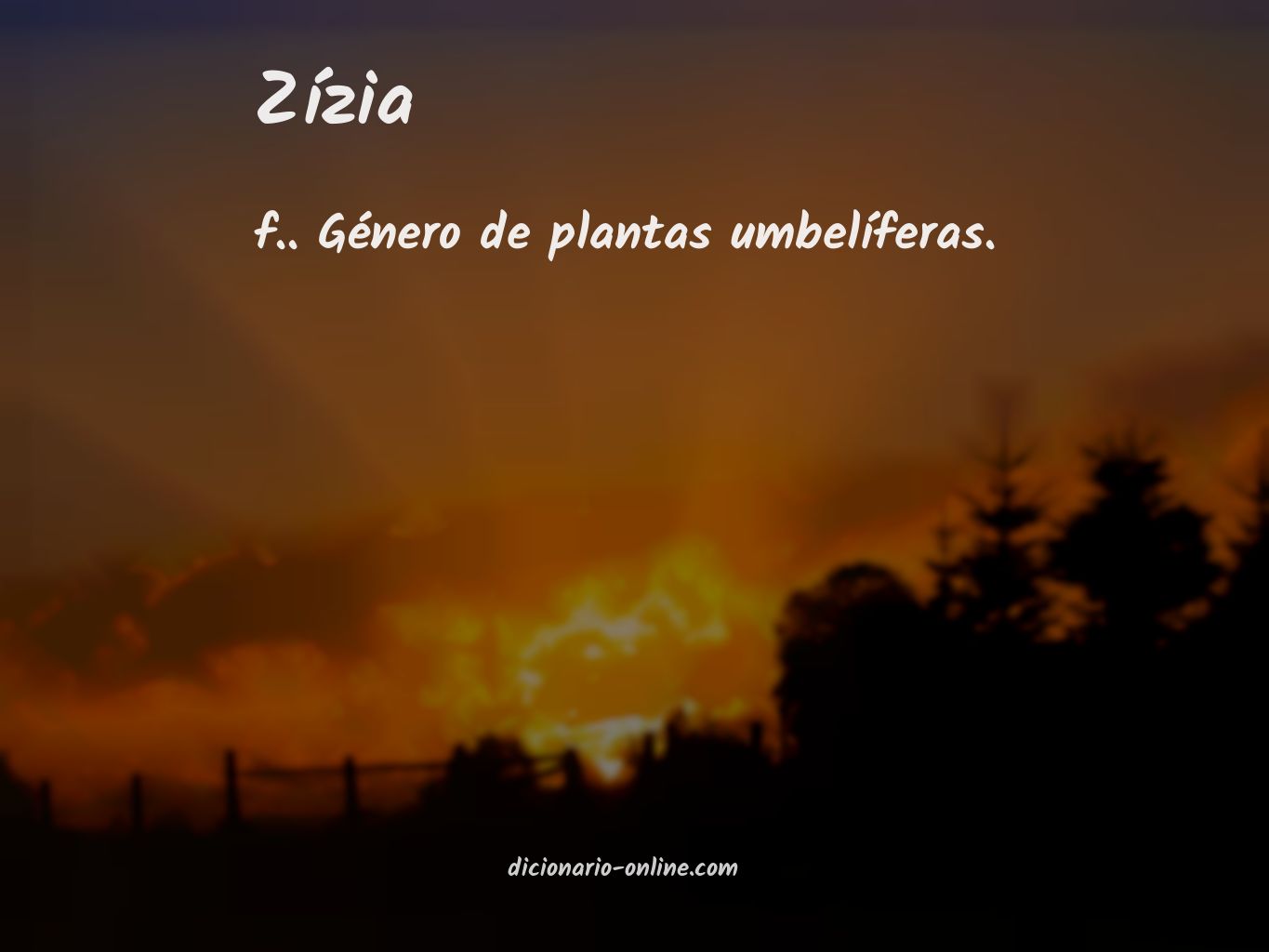 Significado de zízia