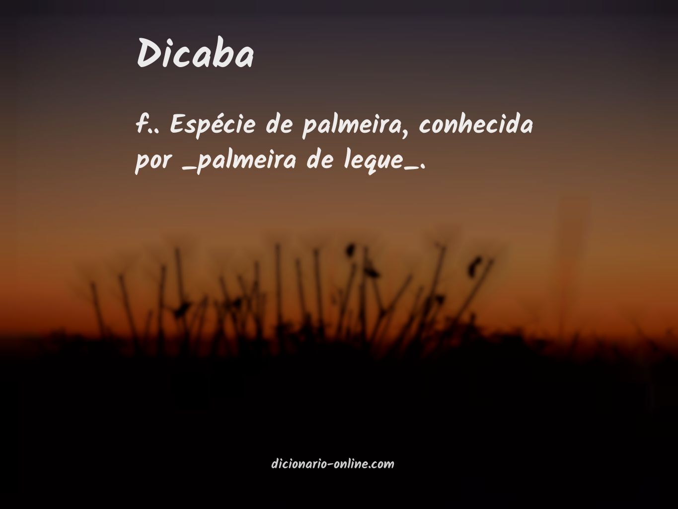 Significado de dicaba