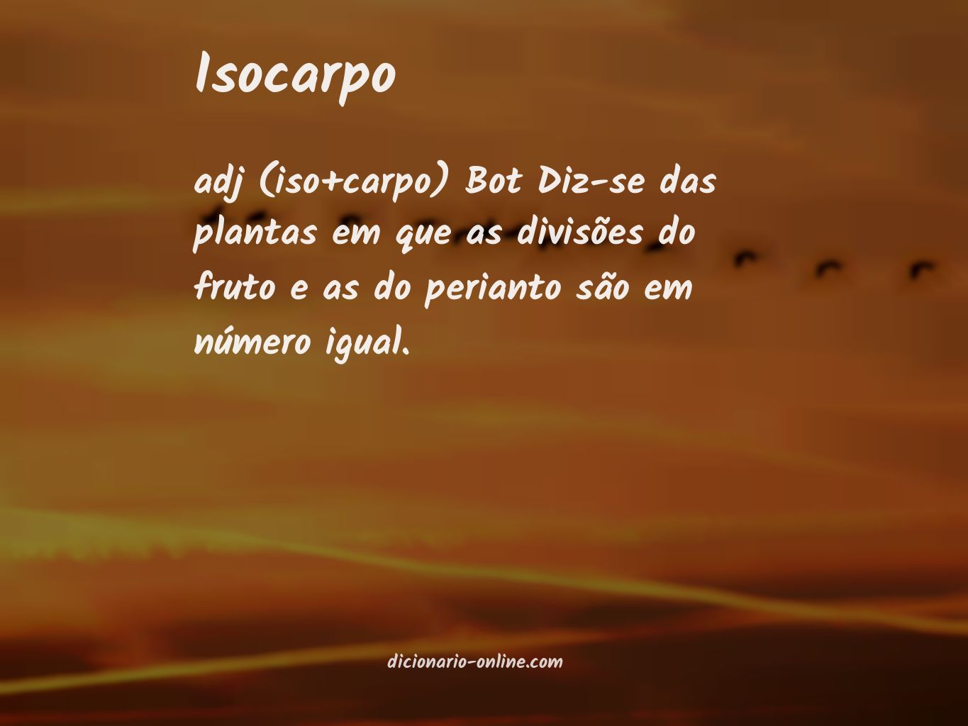 Significado de isocarpo