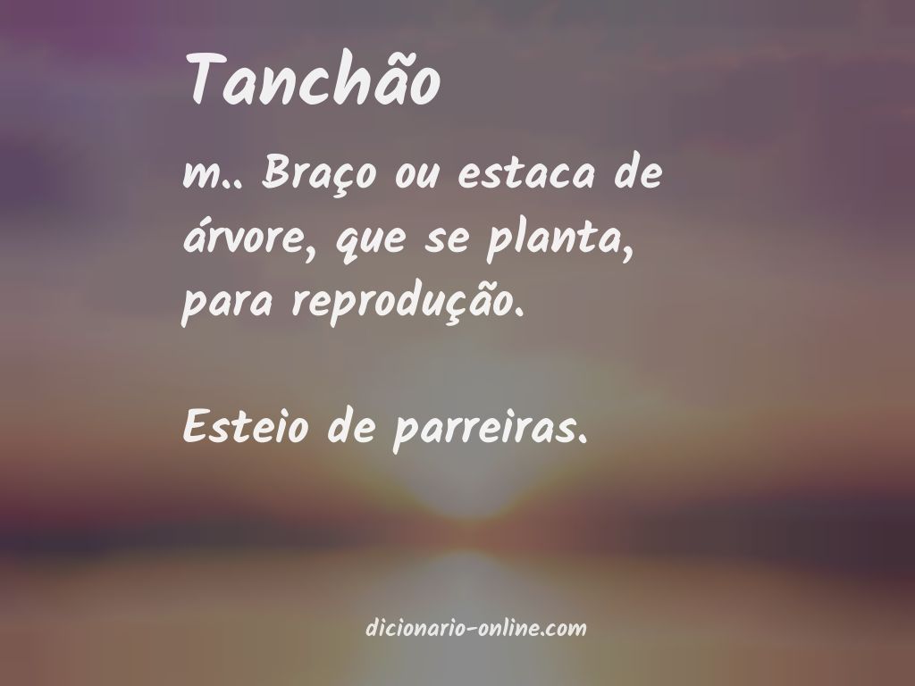 Significado de tanchão