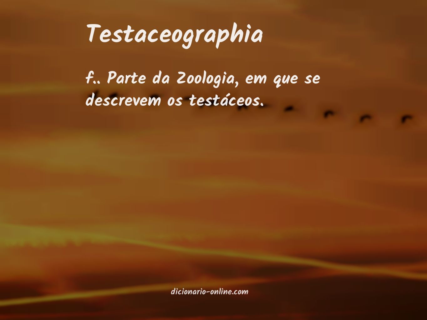 Significado de testaceographia