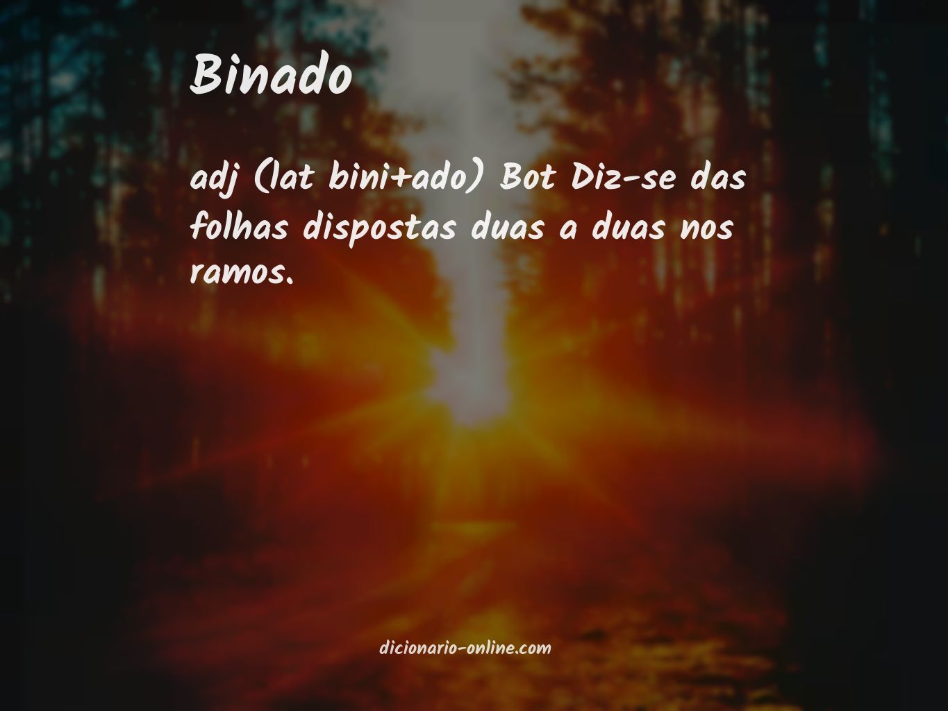 Significado de binado