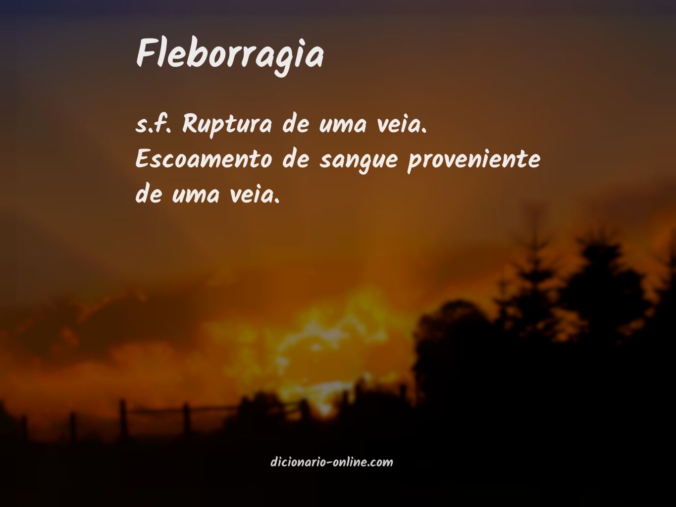 Significado de fleborragia