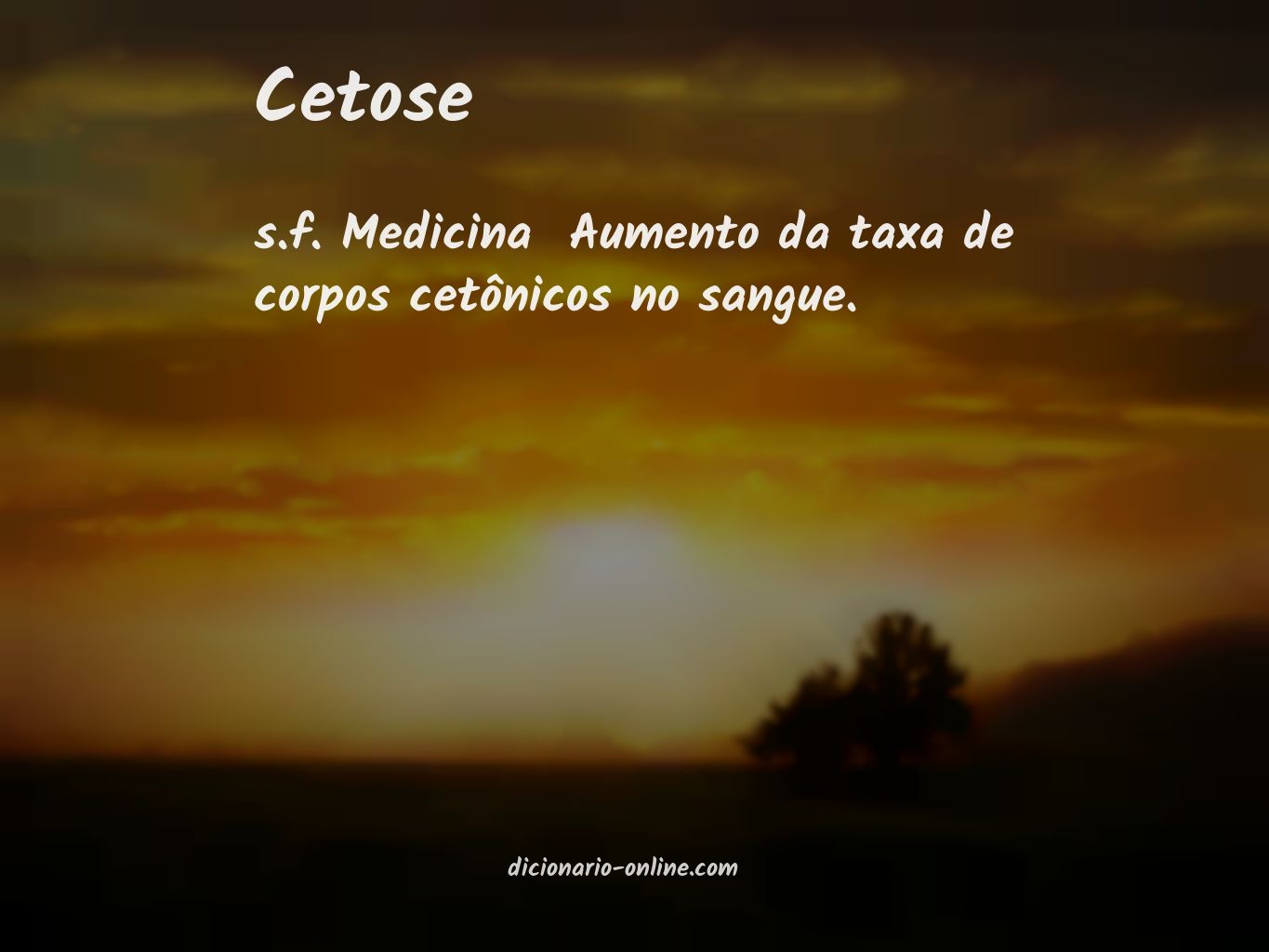 Significado de cetose