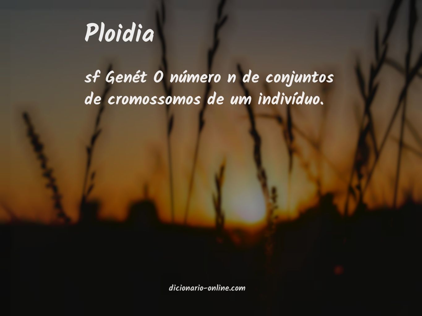 Significado de ploidia