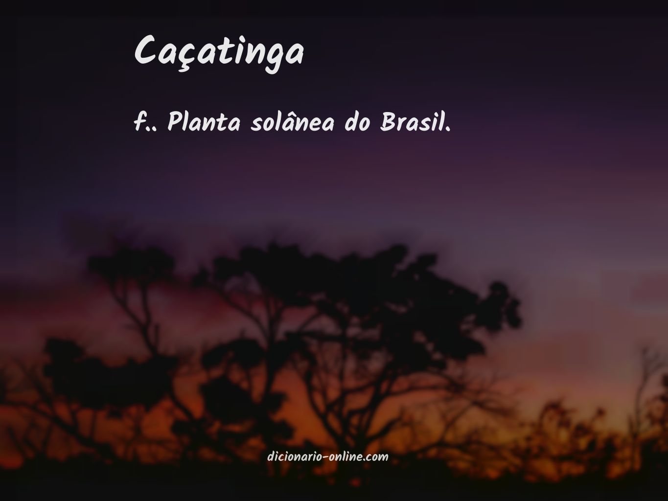 Significado de caçatinga