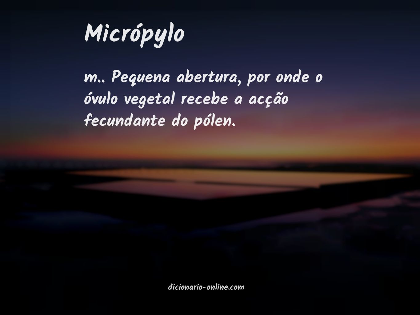 Significado de micrópylo