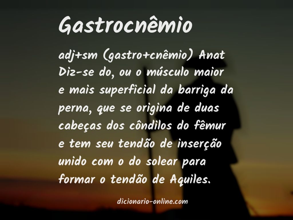 Significado de gastrocnêmio