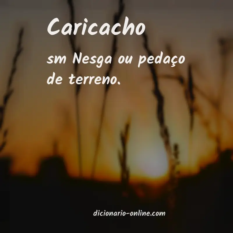 Significado de caricacho
