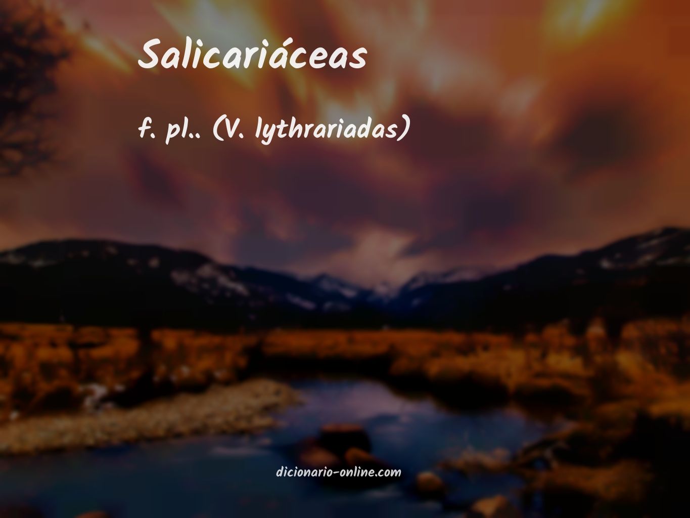 Significado de salicariáceas