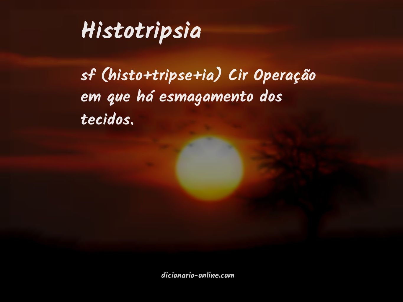 Significado de histotripsia