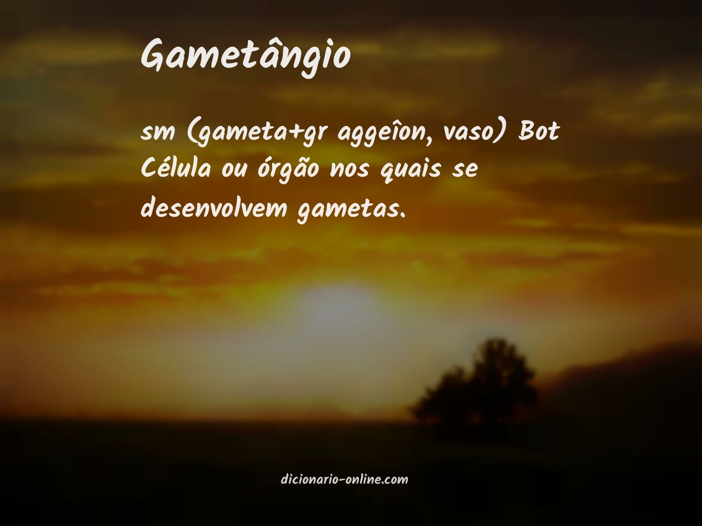 Significado de gametângio