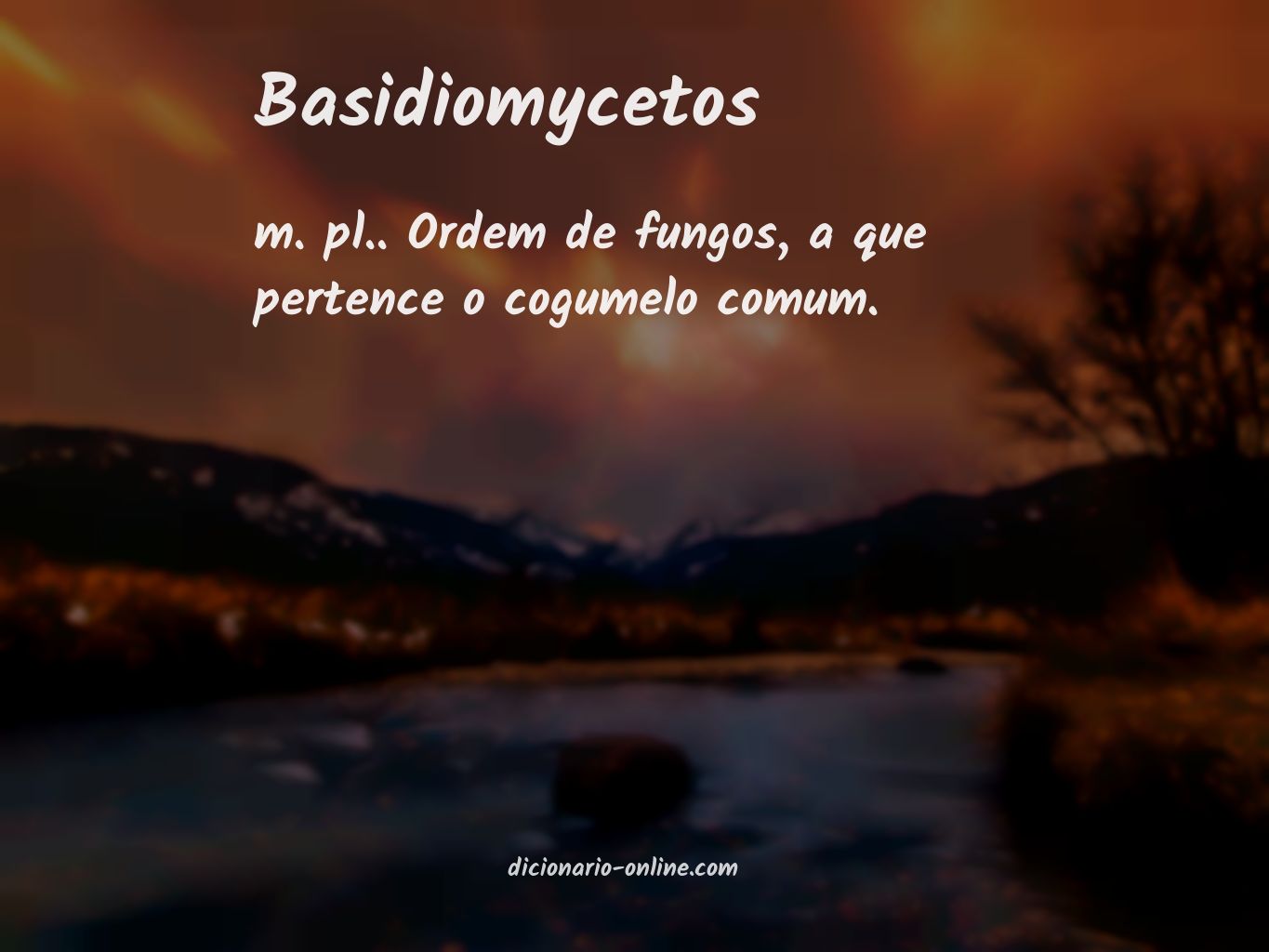 Significado de basidiomycetos