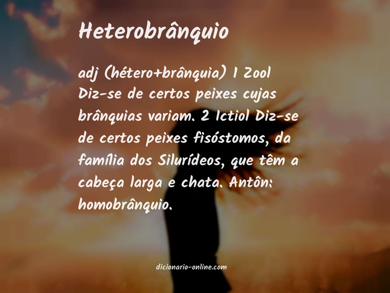 Significado de heterobrânquio