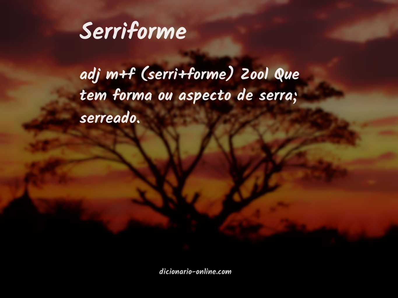 Significado de serriforme