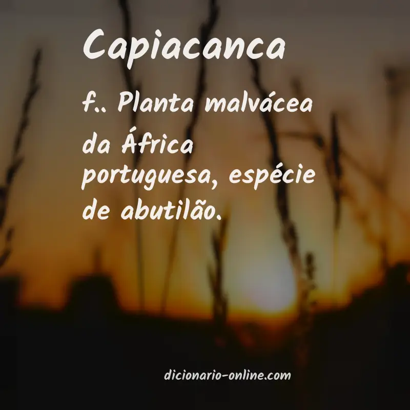 Significado de capiacanca