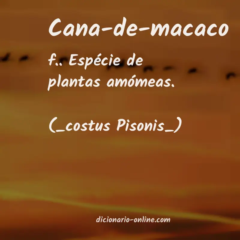 Significado de cana-de-macaco