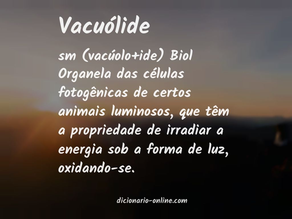Significado de vacuólide