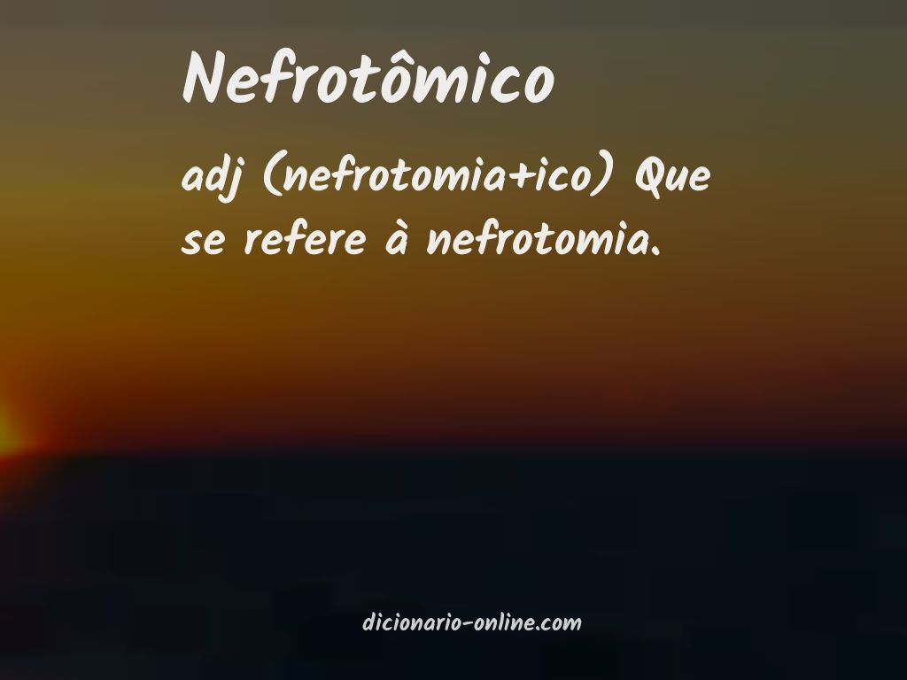 Significado de nefrotômico