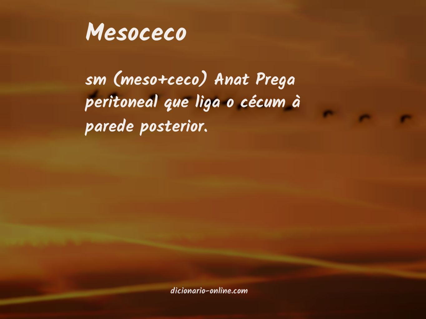 Significado de mesoceco