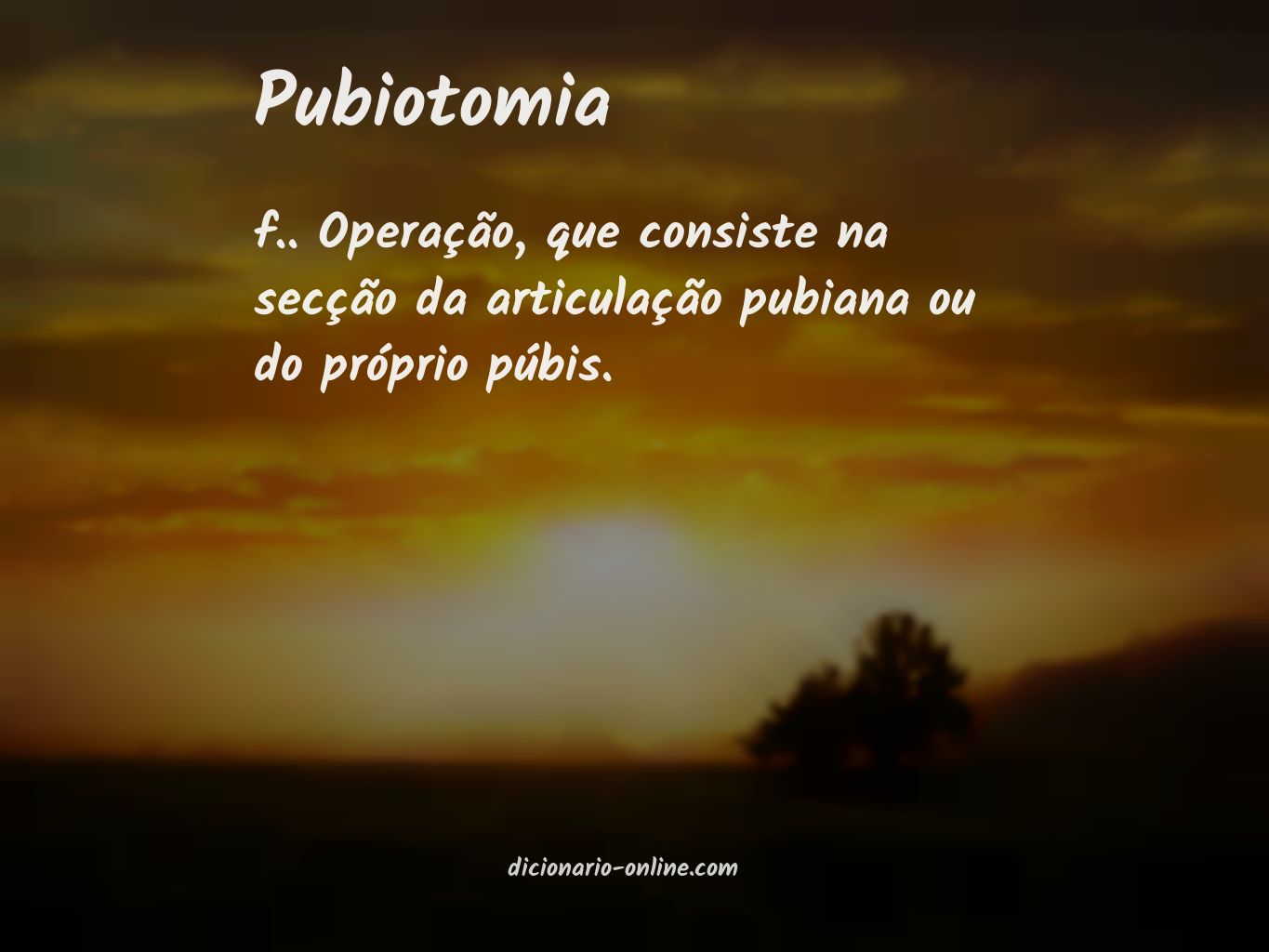 Significado de pubiotomia