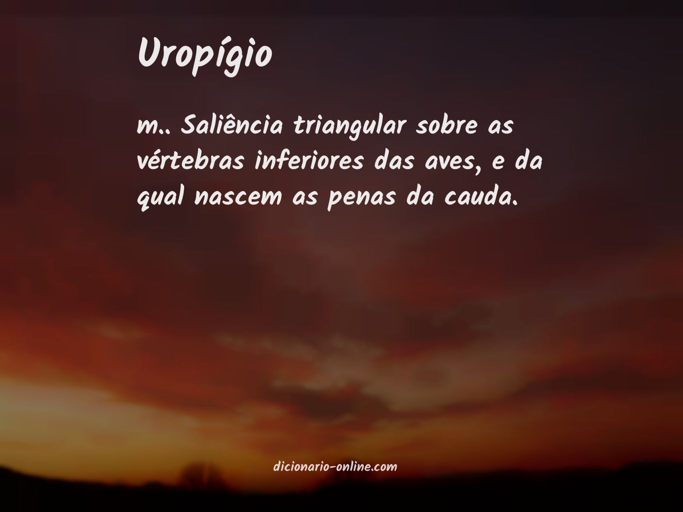 Significado de uropígio