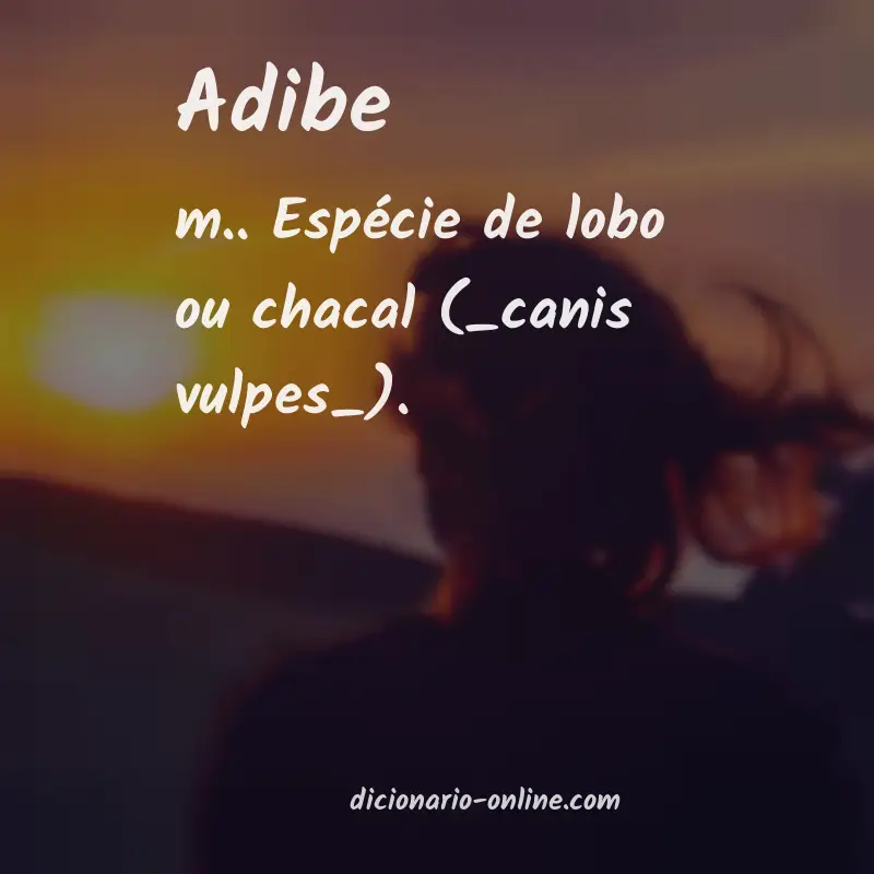 Significado de adibe