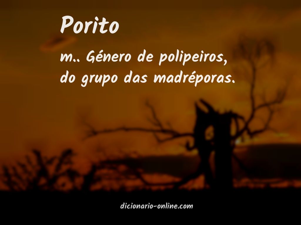 Significado de porito