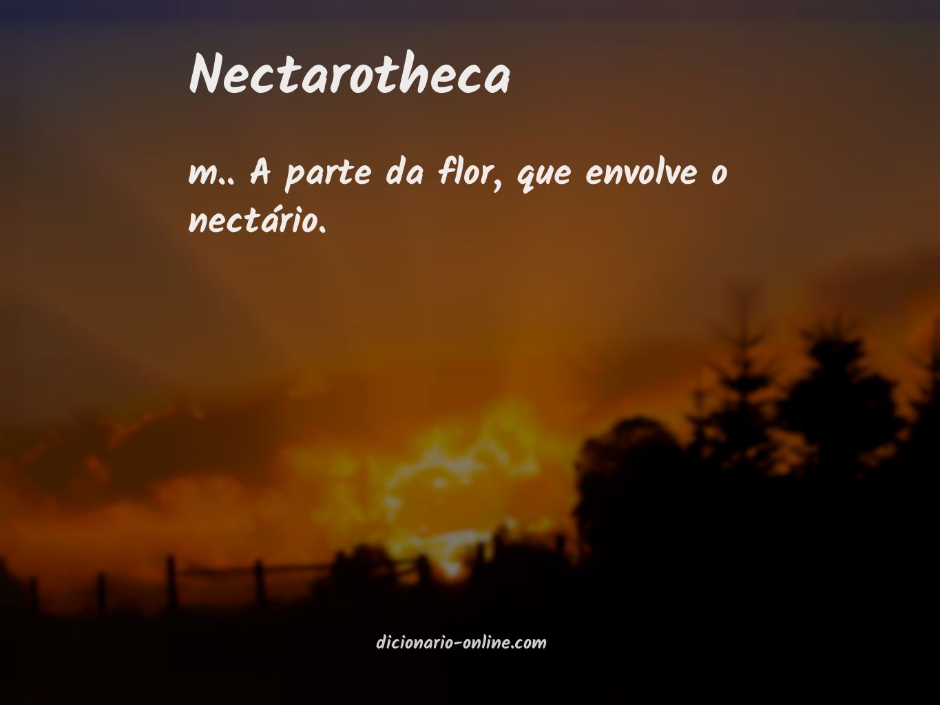 Significado de nectarotheca