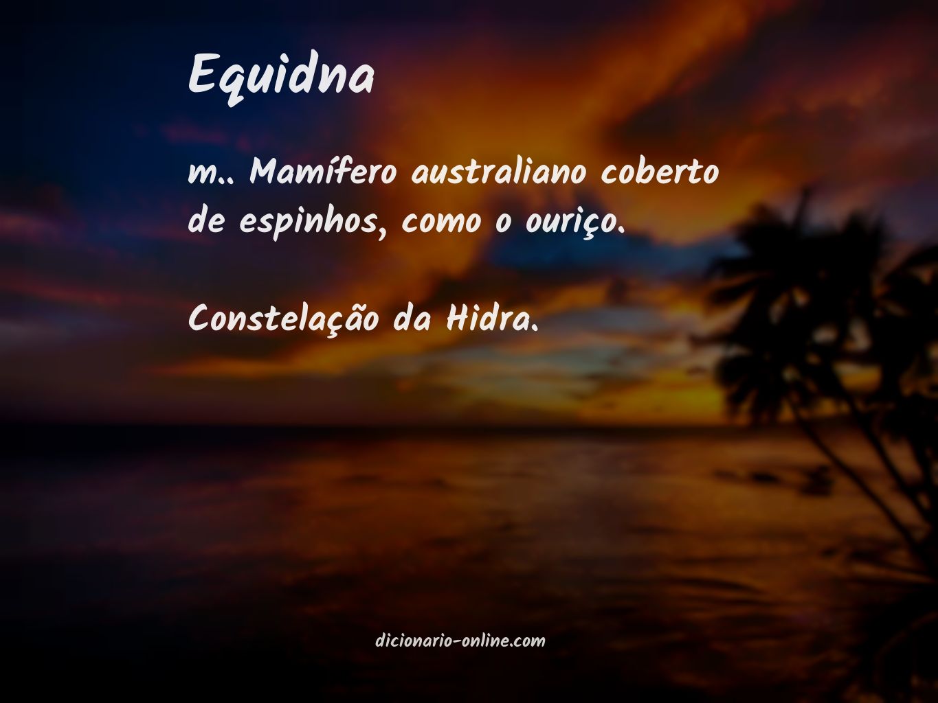 Significado de equidna