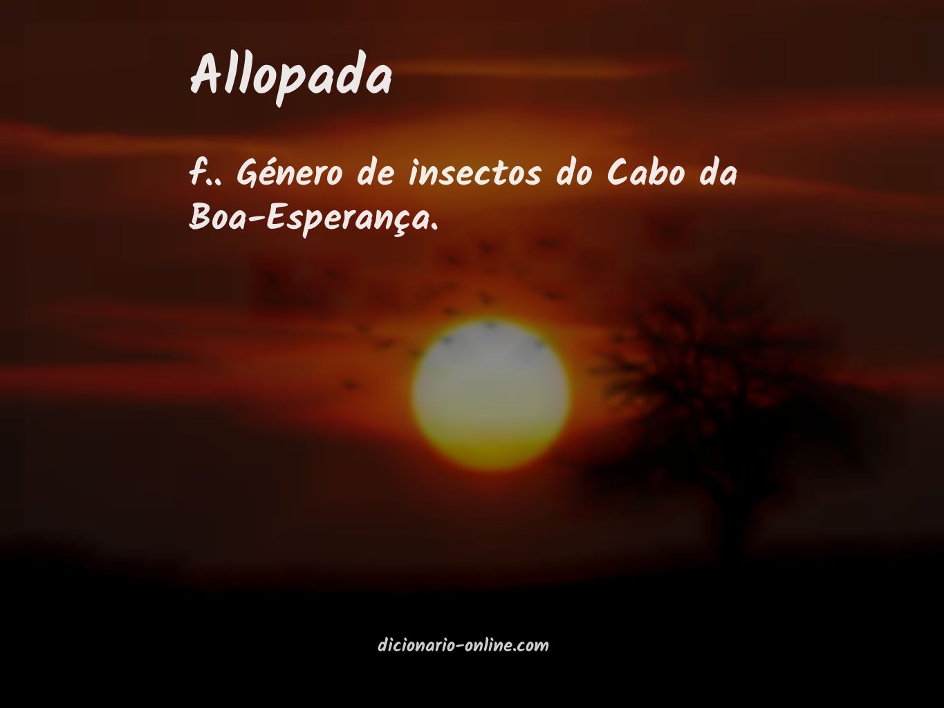 Significado de allopada