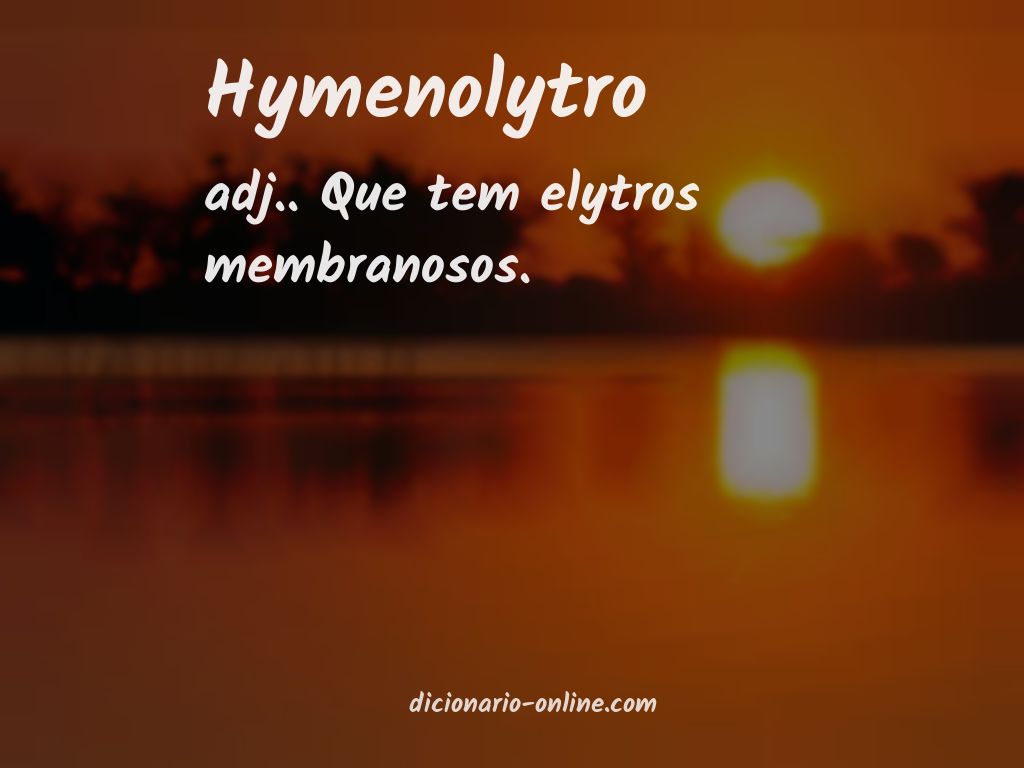 Significado de hymenolytro