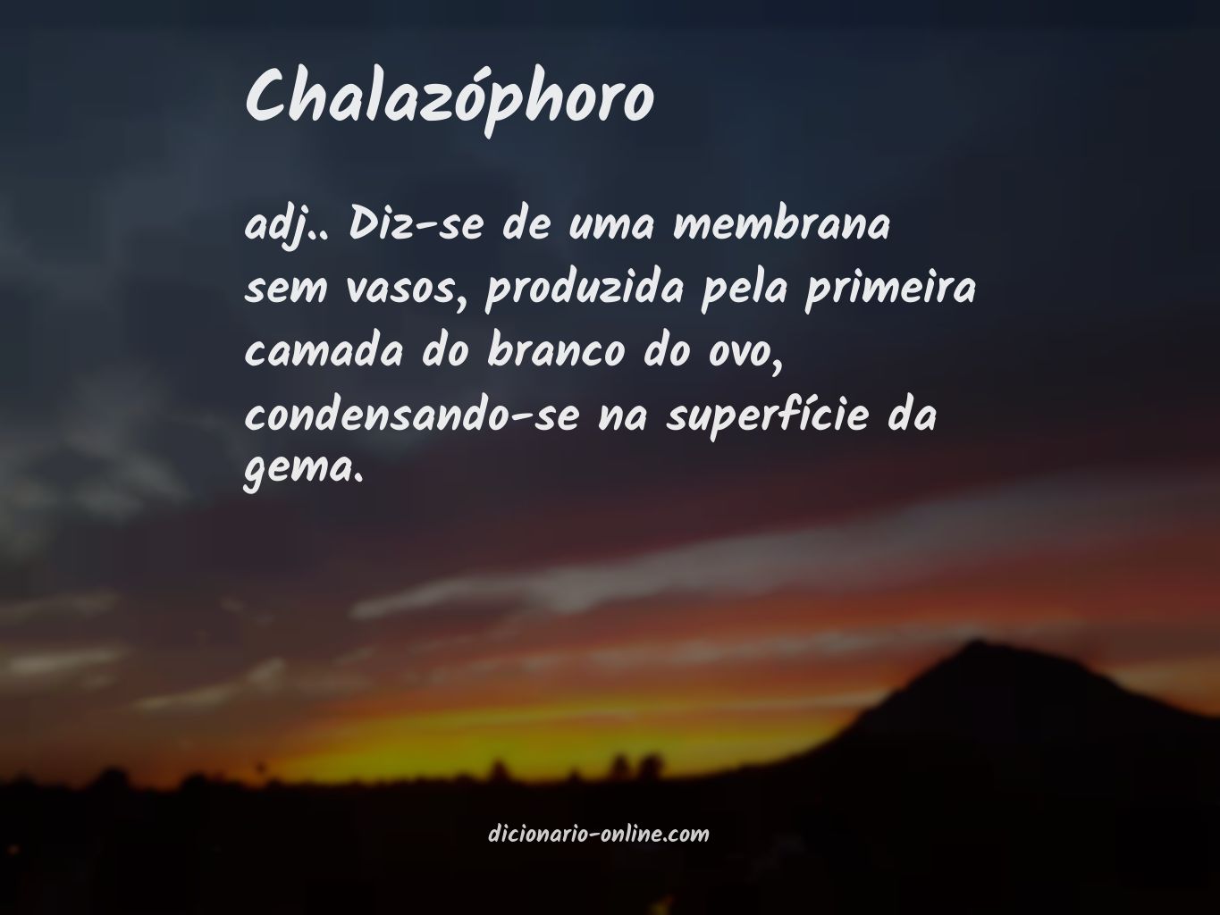 Significado de chalazóphoro