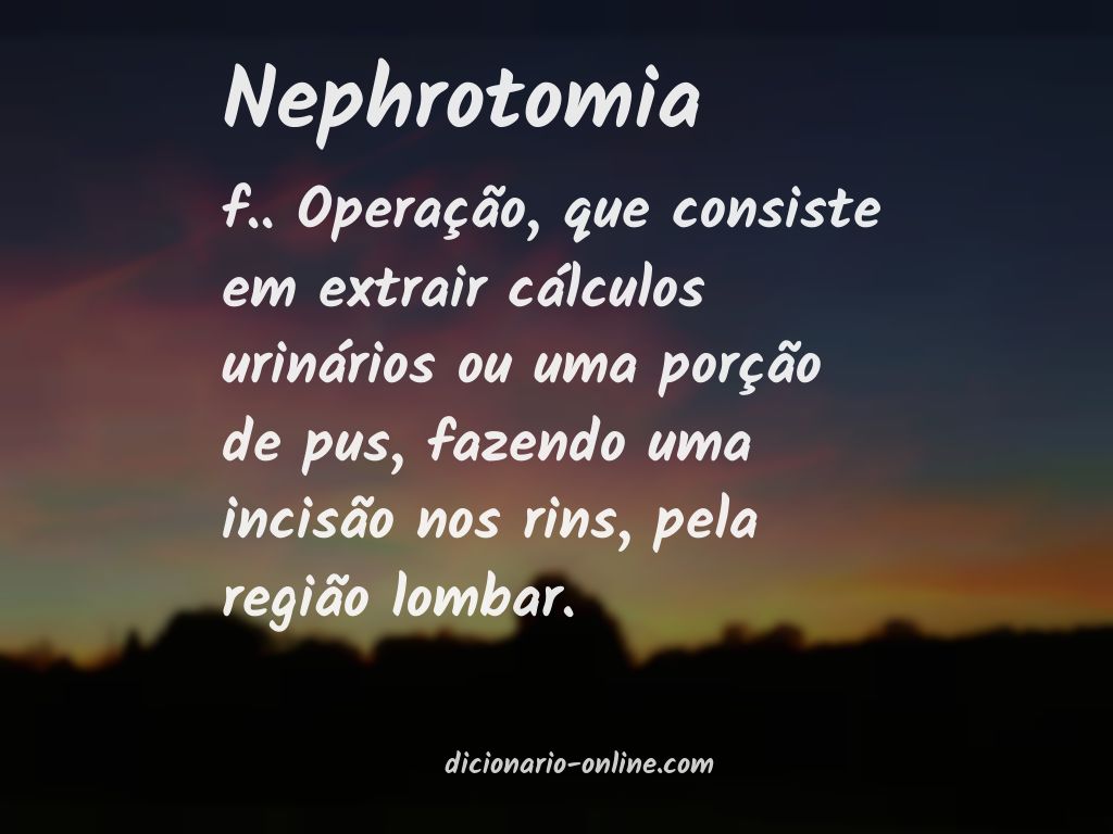 Significado de nephrotomia